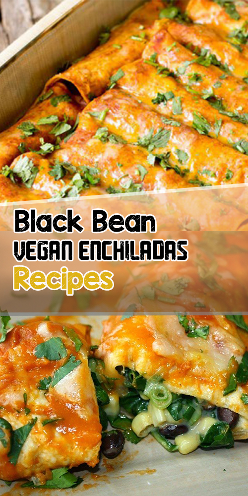 Black Bean Vegan Enchiladas