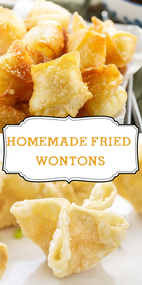 Homemade Fried Wontons